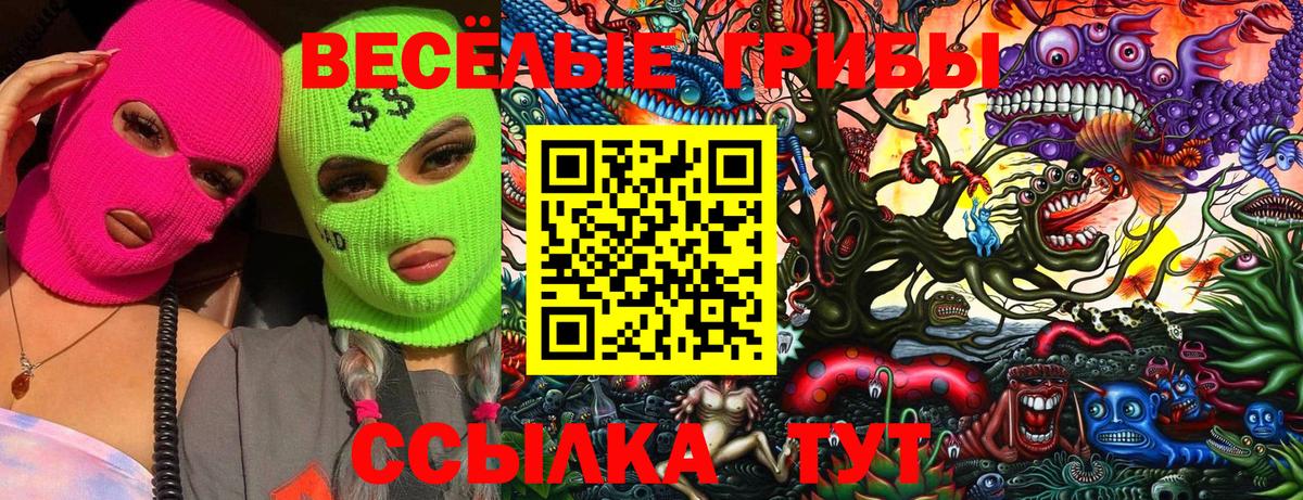 Курск  Галлюциногенные грибы MAGIC MUSHROOMS  Вход с VPN  Галлюциногенные грибы мухоморы 